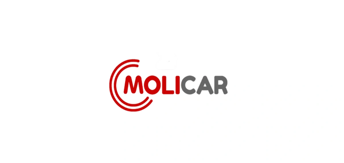 Tabela Molicar: confira como consultar, usar e interpretar