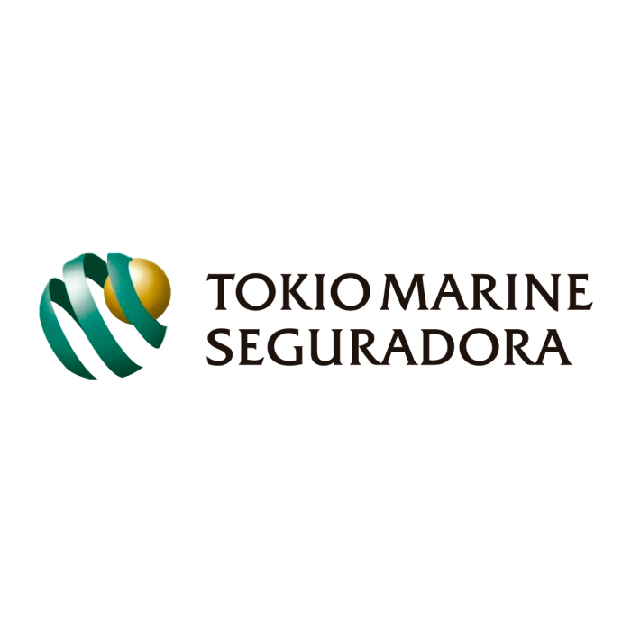 Logo Tokio Marine. Falando sobre os melhores seguros de carros.